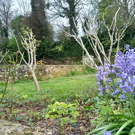 Musique Dans Le Perche *