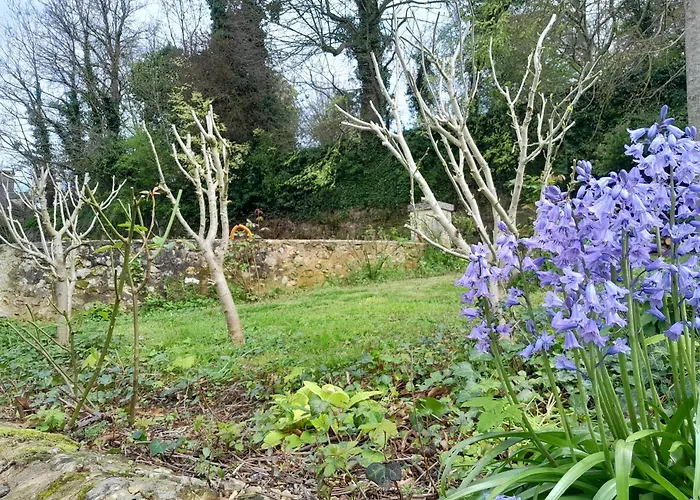 Des Arts - Musique Dans Le Perche *