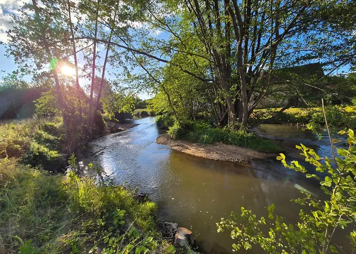 Des Arts - Musique Dans Le Perche